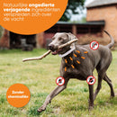 Nafurapets Vlooienband voor Hond – 100% Natuurlijk – 8 Maanden Bescherming